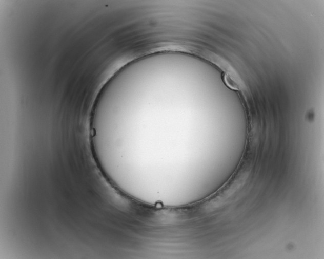 X0000102390898200808151918