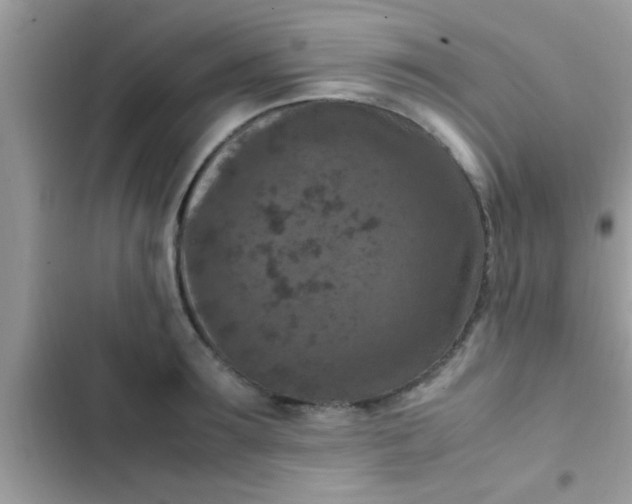 X0000102390899200808151918