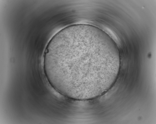 X0000102390900200808151918