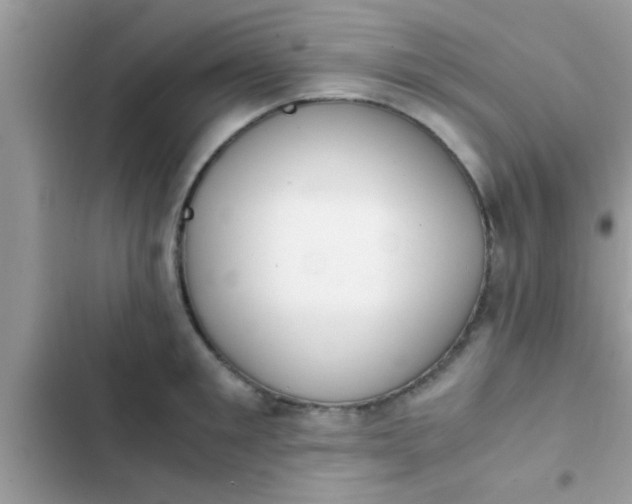 X0000102390901200808151918