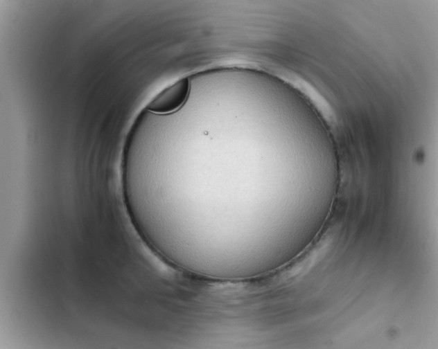 X0000102390902200808151918