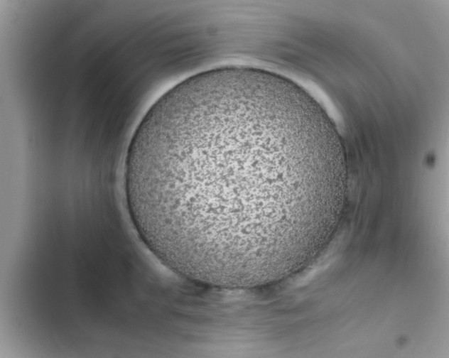 X0000102390903200808151918