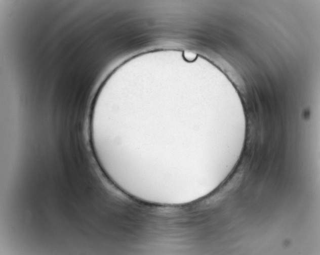 X0000102390904200808151918