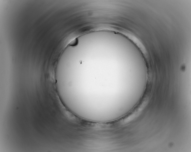 X0000102390905200808151918