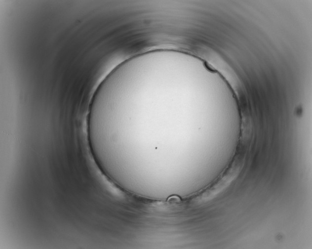 X0000102390906200808151918