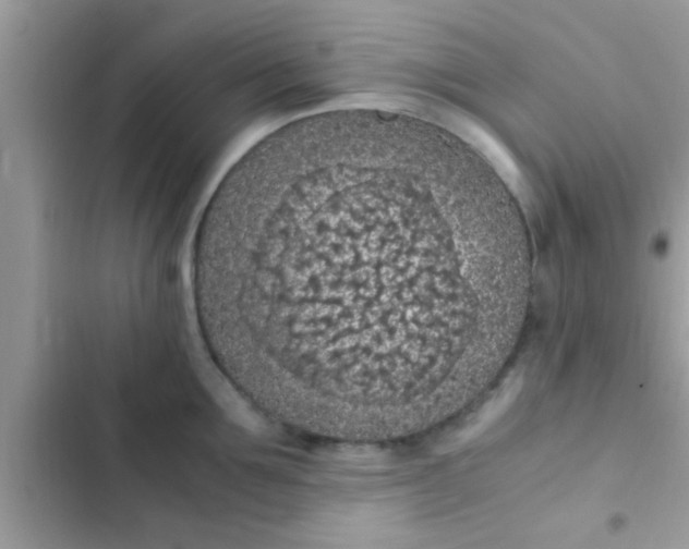 X0000102390907200808151918