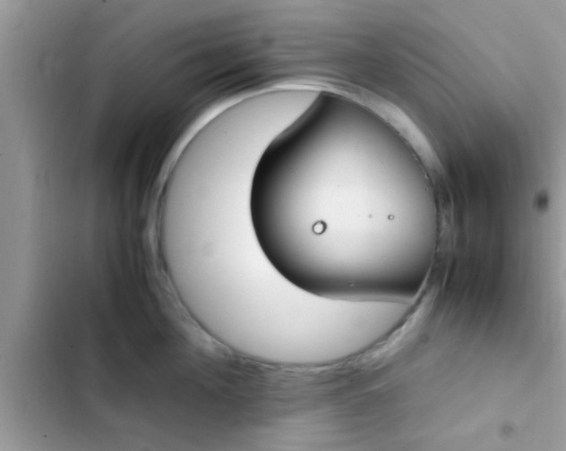 X0000102390908200808151918