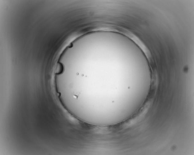 X0000102390909200808151918