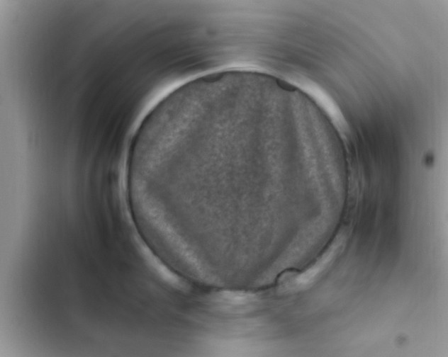 X0000102390910200808151918