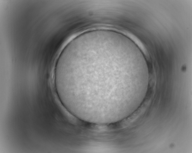 X0000102390911200808151918