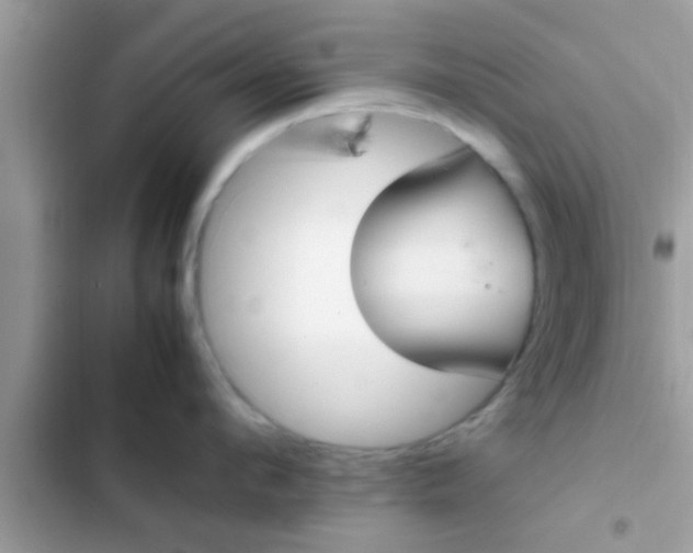 X0000102390912200808151918