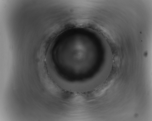 X0000102390913200808151917