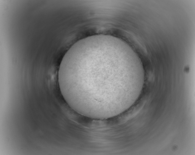 X0000102390914200808151917