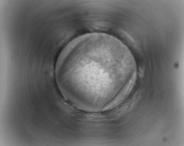 X0000102390915200808151917