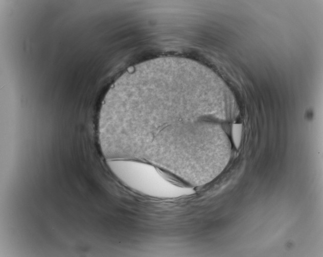 X0000102390916200808151917