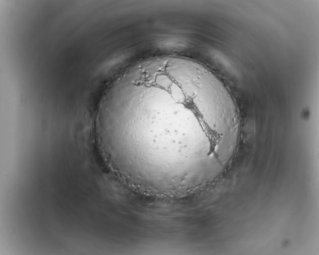 X0000102390917200808151917