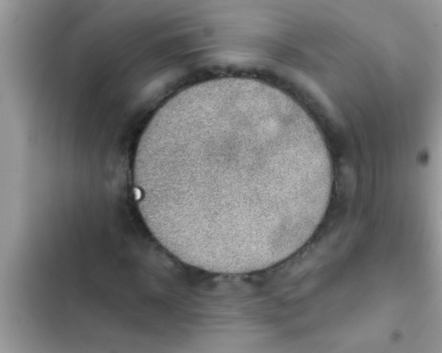 X0000102390918200808151917