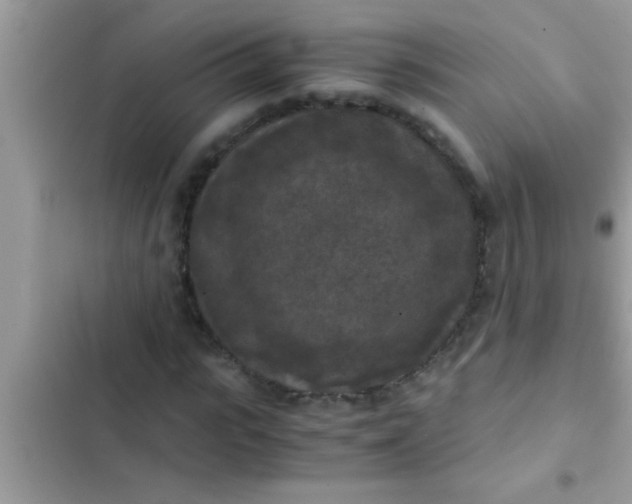 X0000102390919200808151917