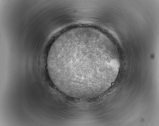 X0000102390920200808151917