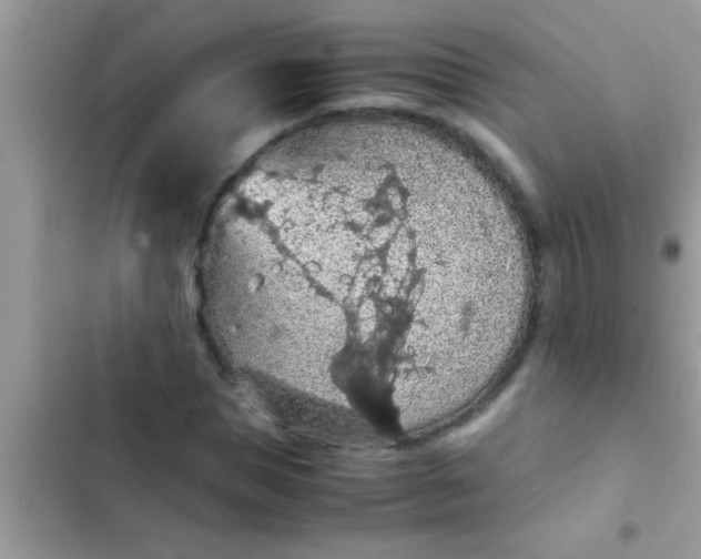 X0000102390921200808151917