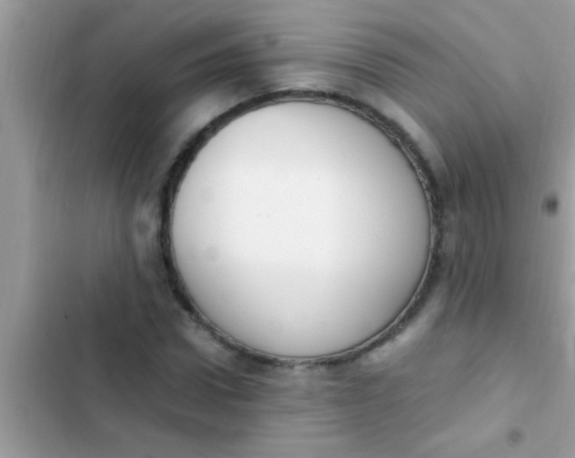 X0000102390922200808151917