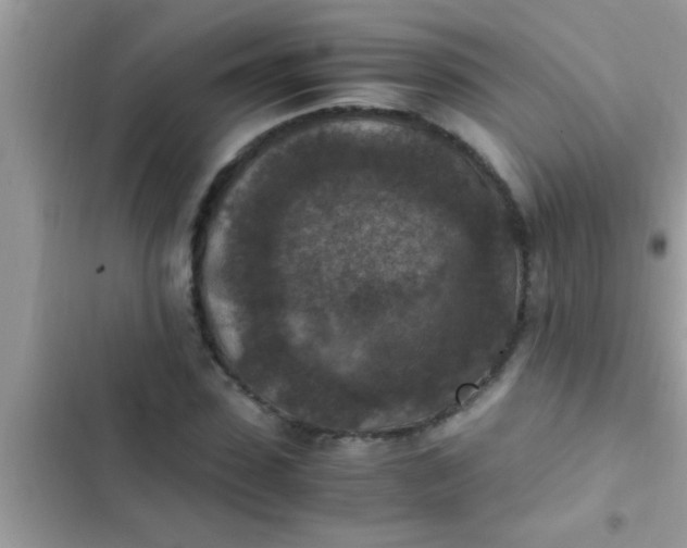 X0000102390923200808151917