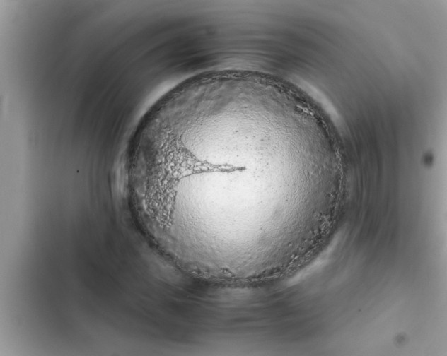 X0000102390925200808151917