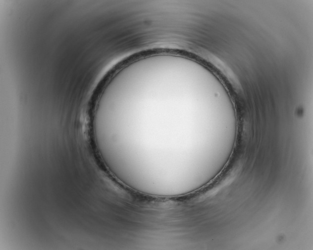 X0000102390926200808151917