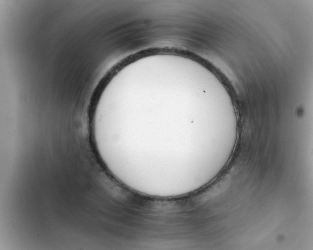 X0000102390927200808151917