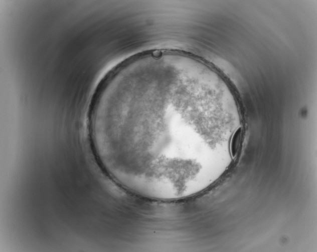 X0000102390928200808151917