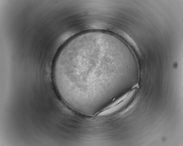 X0000102390930200808151917