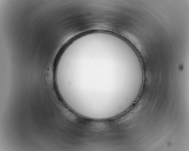 X0000102390931200808151917