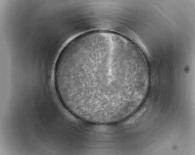 X0000102390932200808151917