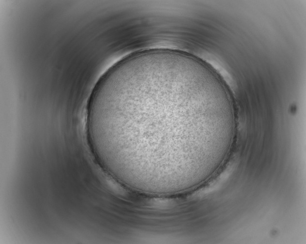 X0000102390933200808151918