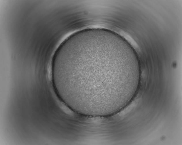 X0000102390934200808151918