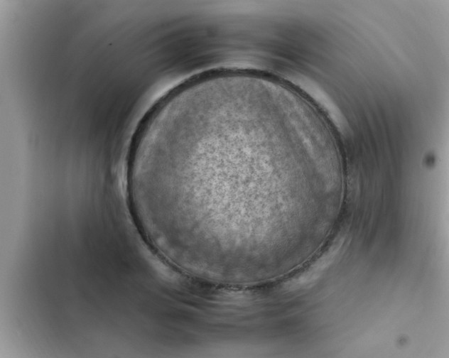 X0000102390935200808151918