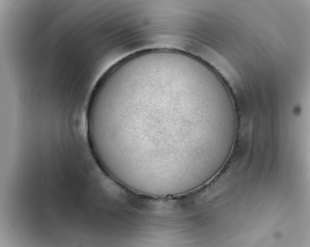 X0000102390936200808151918