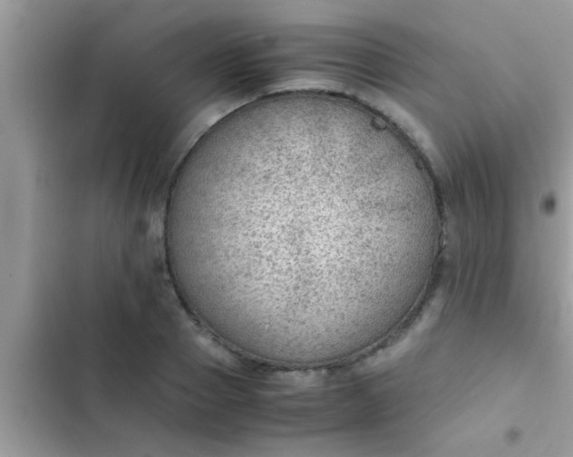 X0000102390937200808151918