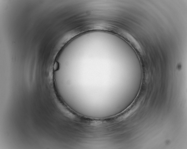 X0000102390938200808151918