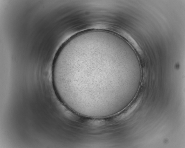 X0000102390939200808151918