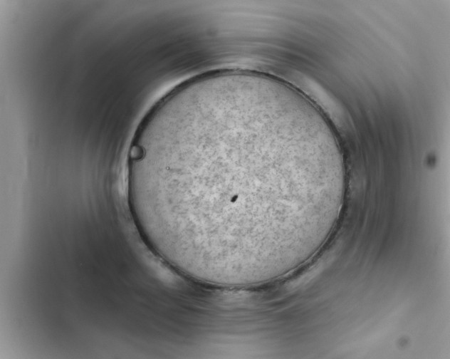 X0000102390940200808151918