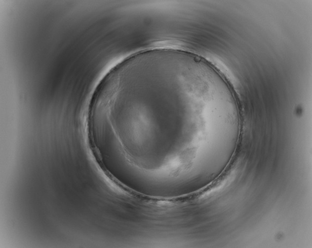 X0000102390941200808151918