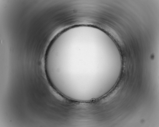 X0000102390942200808151918