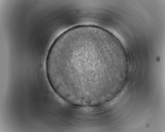 X0000102390943200808151918