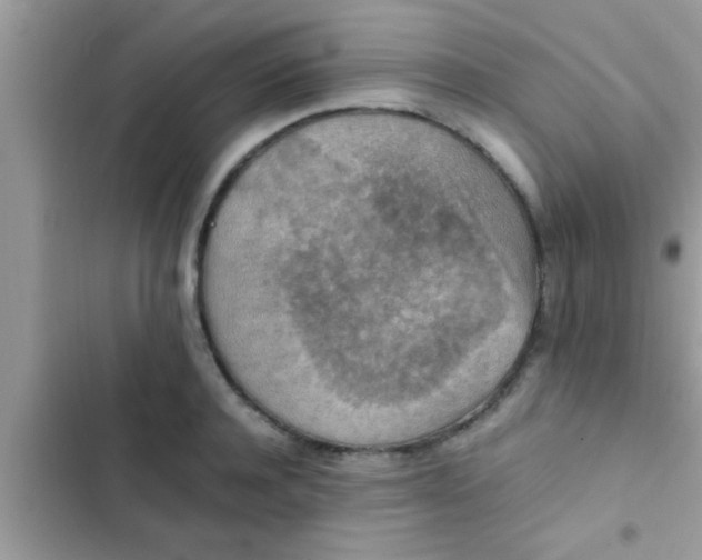 X0000102390944200808151918