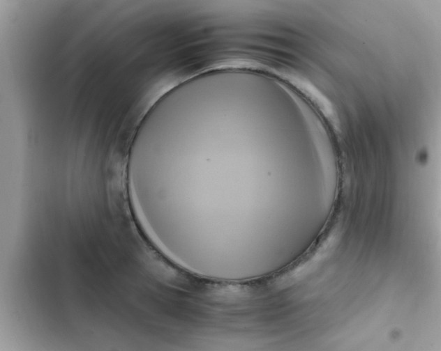 X0000102390945200808151918