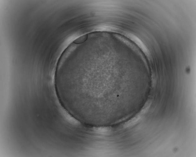 X0000102390946200808151918