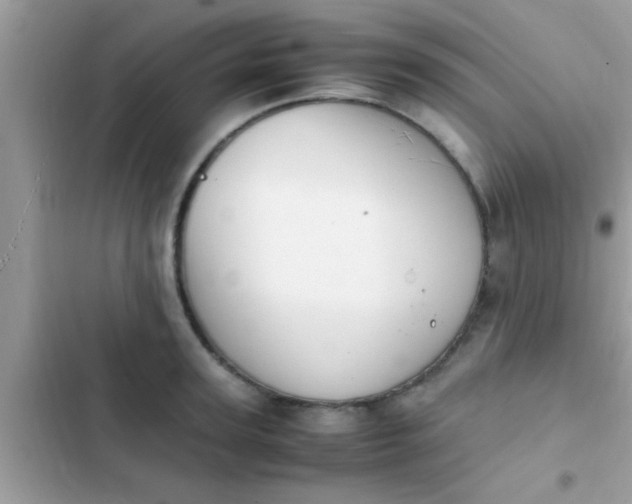 X0000102390947200808151918