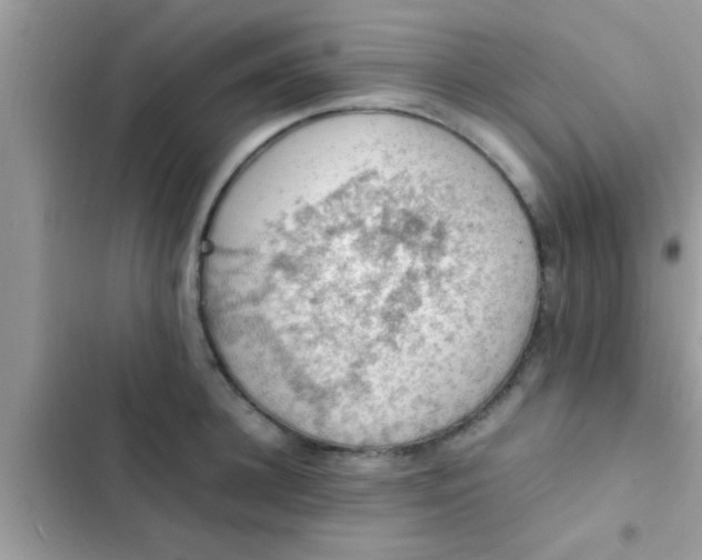 X0000102390948200808151918