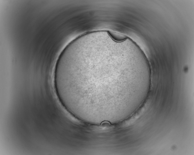 X0000102390949200808151918